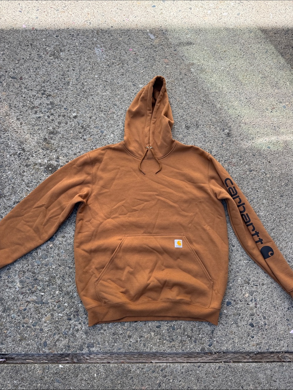 Carhartt Brown Hooded Sweatshirt with Logo Sleeve, Loose Fit